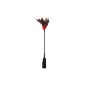 Cravache noire bdsm avec plumes noires rouges 